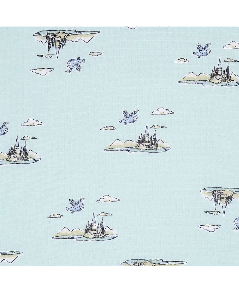 Baby Boys or Baby Girls Harry Potter Printed Blanket