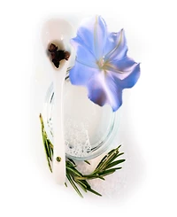 Moonflower Hydrating Hair Wash, 10.2 oz