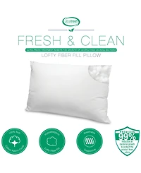 SensorPEDIC Fresh & Clean Ultra-Fresh Antimicrobial 2-Pack Pillows, Standard