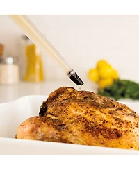 Tovolo Dripless Turkey Baster
