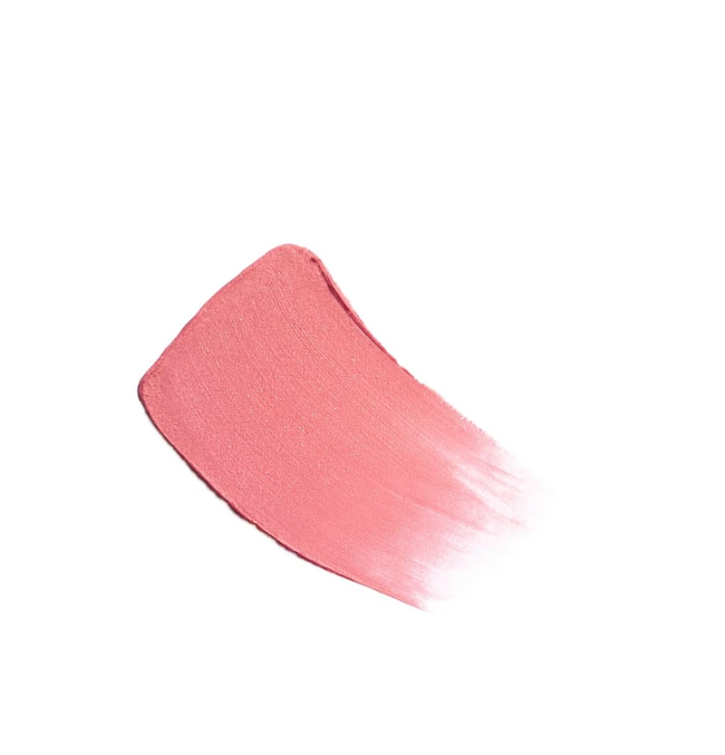 LES BEIGES Healthy Glow Sheer Color Stick