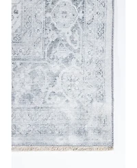 Momeni Chandler Chandchn-4 4' x 6' Area Rug