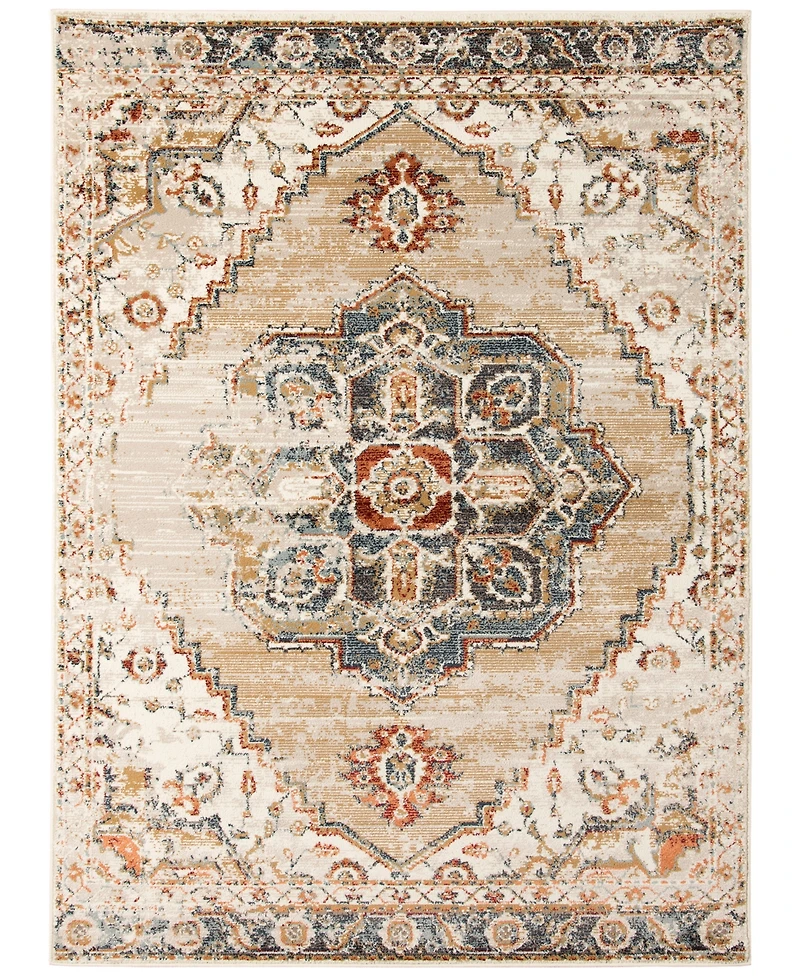 Amer Rugs Allure Ara 7'9" x 9'9" Area Rug
