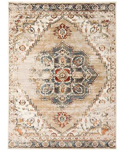 Amer Rugs Allure Ara 7'9" x 9'9" Area Rug