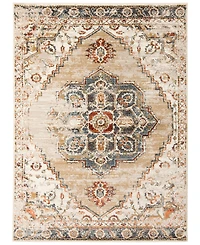 Amer Rugs Allure Ara 7'9" x 9'9" Area Rug