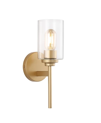 Juno 1-Light Farmhouse Industrial Iron Cylinder Led Sconce