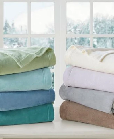 Madison Park Soloft Plush Micro Fleece Sheet Sets