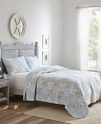 Laura Ashley Kenna Cotton Reversible -Pc. Quilt Set