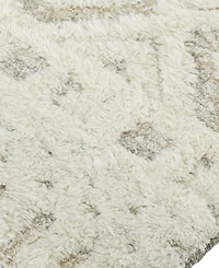 Feizy Anica R8010 2' x 3' Area Rug