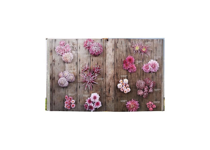 Floret Farm's A Year in Flowers: Designing Gorgeous Arrangements for Every Season (Flower Arranging Book, Bouquet and Floral Design Book) by Erin Benz