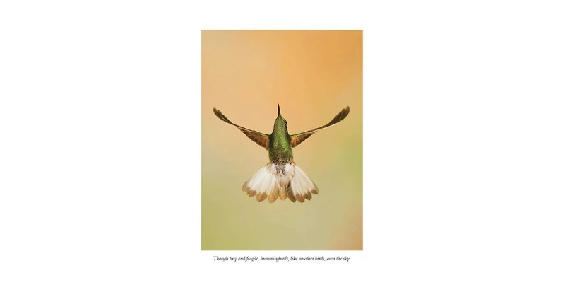 The Hummingbirds' Gift