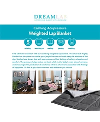 DreamLab 5lb Weighted Lap Throw, 20" x 23"