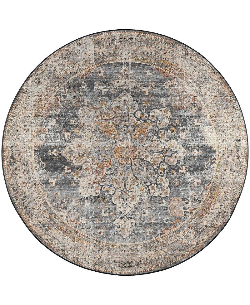 Dalyn Jericho Washable JC6 4' x Round Area Rug