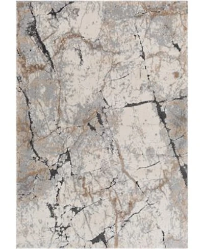 Livabliss Tuscany Tus2314 Area Rug