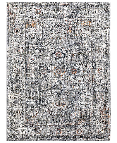 Amer Rugs Vermont Chelsea 7'10" x 9'10" Area Rug