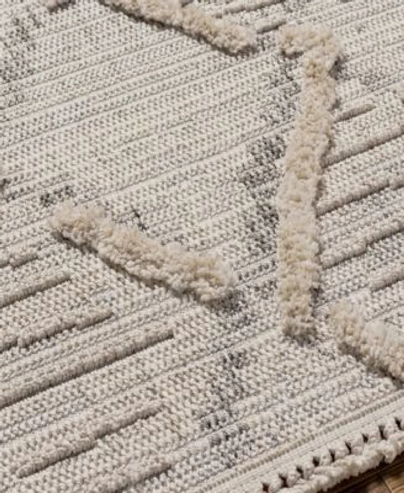 Livabliss Zaragoza Zrz 2311 Area Rugs