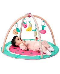 Skip Hop Watermelon Play Gym, 7 Piece Set