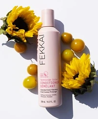Fekkai Technician Color Conditioner