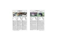 Florida Wildlife Encyclopedia