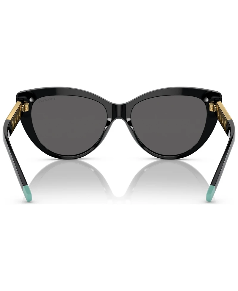 Tiffany & Co. Women's Sunglasses, TF4196