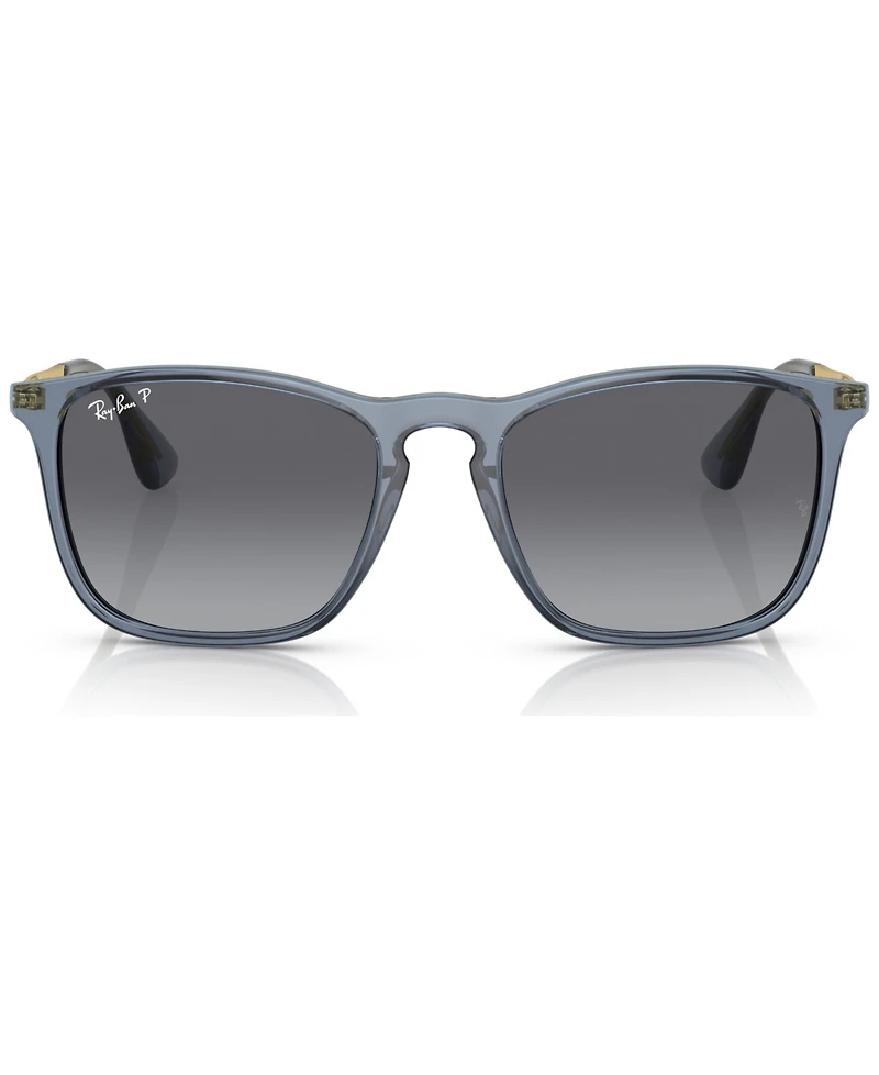 Ray-Ban Men's Polarized Sunglasses
