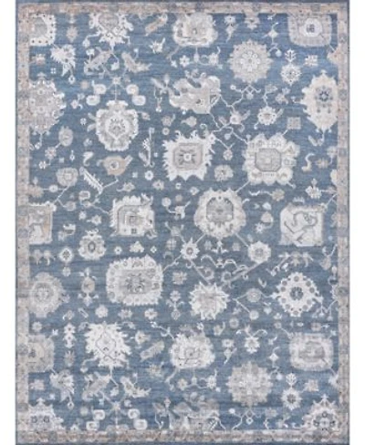 Exquisite Rugs Museum Er3494 Area Rug