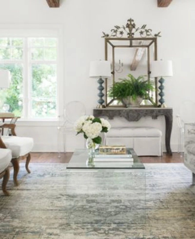 Loloi Millennium Mv 04 Area Rug