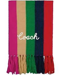 Coach Women's Multi Stripe Scarf
