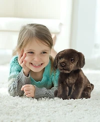 Geoffrey's Toy Box 10" Labrador Puppy Dog Toy, Created for Macy's