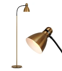 Avery Adjustable Gooseneck Led Reading Floor Lamp (63"), Light Bulb Included