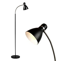 Avery Adjustable Gooseneck Led Reading Floor Lamp (63"), Light Bulb Included