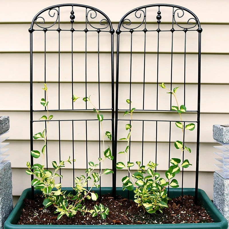 Metal Wire Traditional Garden Trellis for Climbing Plants and Flowers - 32" H - Black - 2-Pack