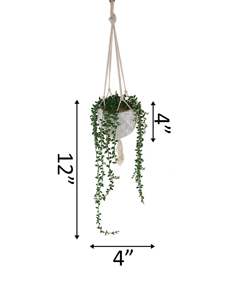 Flora Bunda String of Pearls Macrame Hanging Ceramic Pot Donkey Tails, 4"