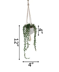 Flora Bunda String of Pearls Macrame Hanging Ceramic Pot Donkey Tails, 4"