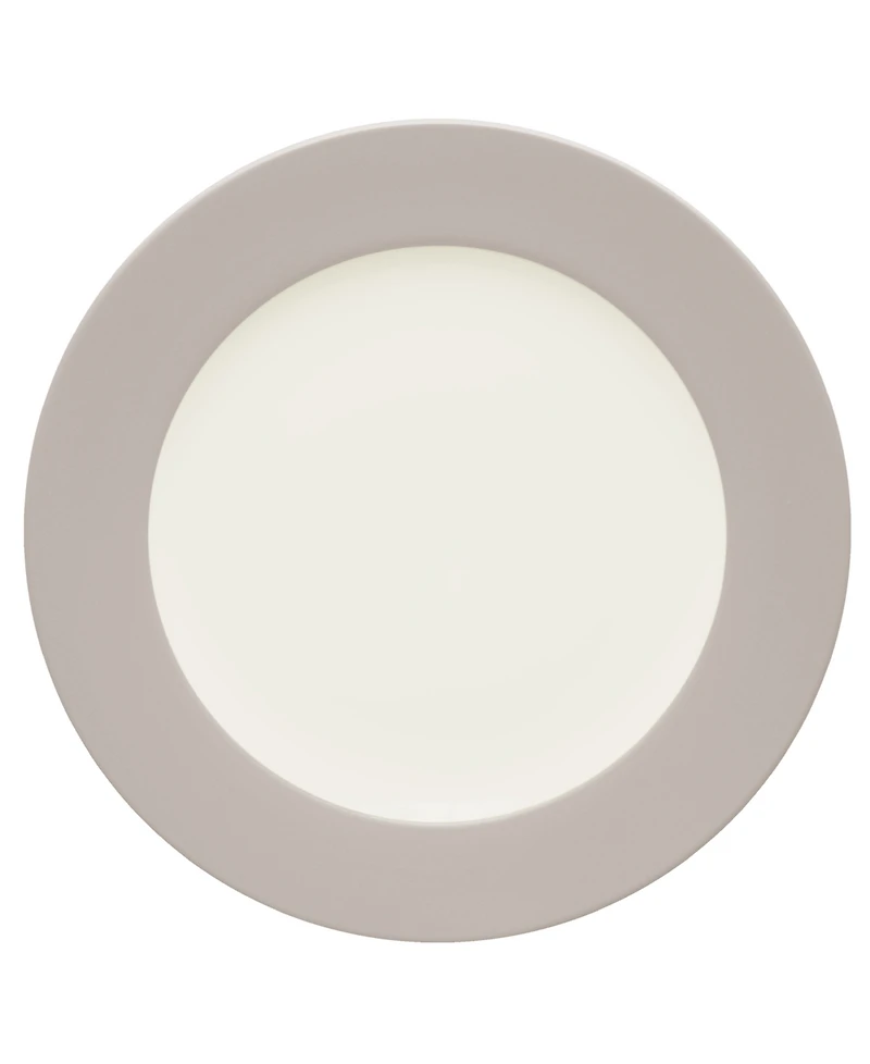 Noritake Colorwave Rim 8.25" Salad Plate