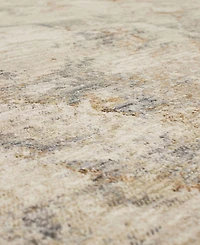 Karastan Echo Tesoro 6'7" x 9'6" Area Rug