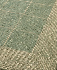 Chris Loves Julia Francis Fra-02 2'6" x 9'9" Runner Area Rug