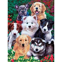 MasterPieces Playful Paws - Fluffy Fuzzballs 300 Piece Ez Grip Puzzle