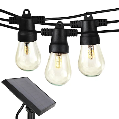 Ambience Pro 48 ft. Outdoor Solar Led String Lights in Soft White