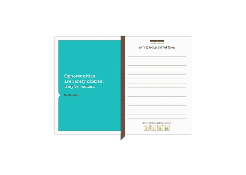 I Totally Got This Mini Inner-Truth Journal by Knock Knock
