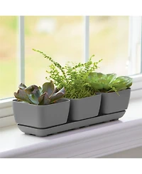 Novelty (10010) Herb Trio with Attached Tray, 12" x 14" - Grey