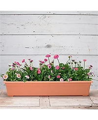 Novelty 16365 Countryside Planter Terracotta 36 Inch Length