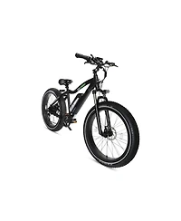 GoPowerBike GoSpeed Fat-Tire Electric Bike