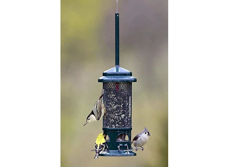 Brome 1057 Squirrel Buster Standard Wild Bird Feeder 1.3 Lb Capacity