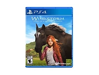 Windstorm Start Of A Great Freindship