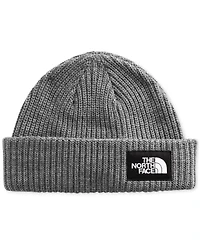 The North Face Men's Salty Lined Beanie