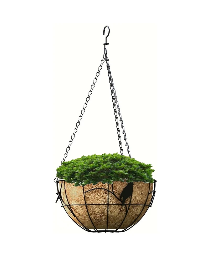 Panacea Coco Liner Hanging Bird Basket, Black, 14