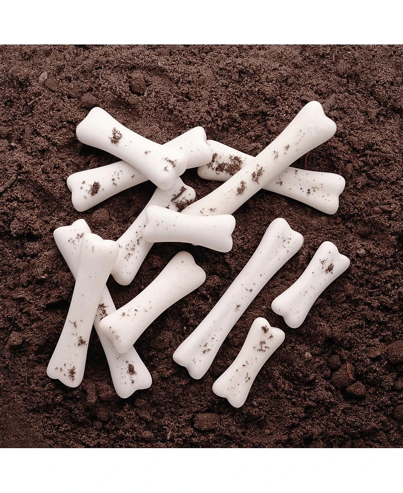 Yellow Door Dinosaur Bones Discovery, Set of 12