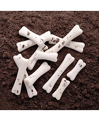 Yellow Door Dinosaur Bones Discovery, Set of 12