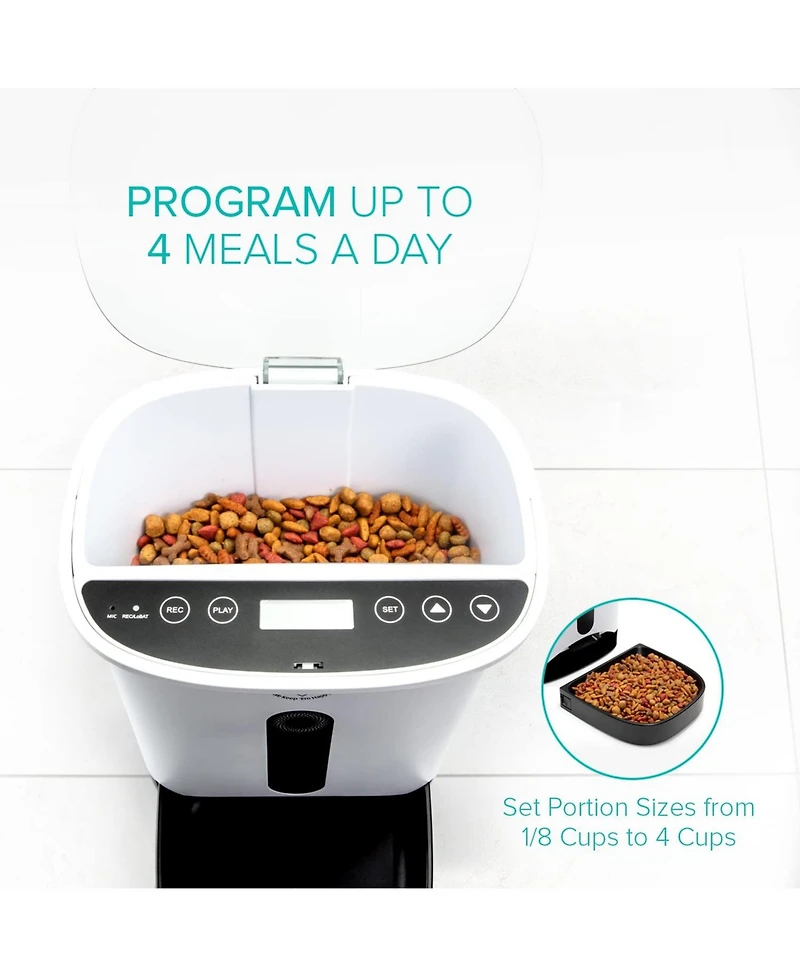 Arf Pets Automatic Pet Feeder, Food Dispenser for Dogs with Timer